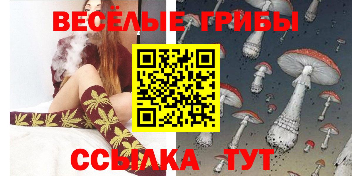 Галлюциногенные грибы Psilocybe  Вход с VPN  Псилоцибиновые грибы Psilocybe  Сочи 