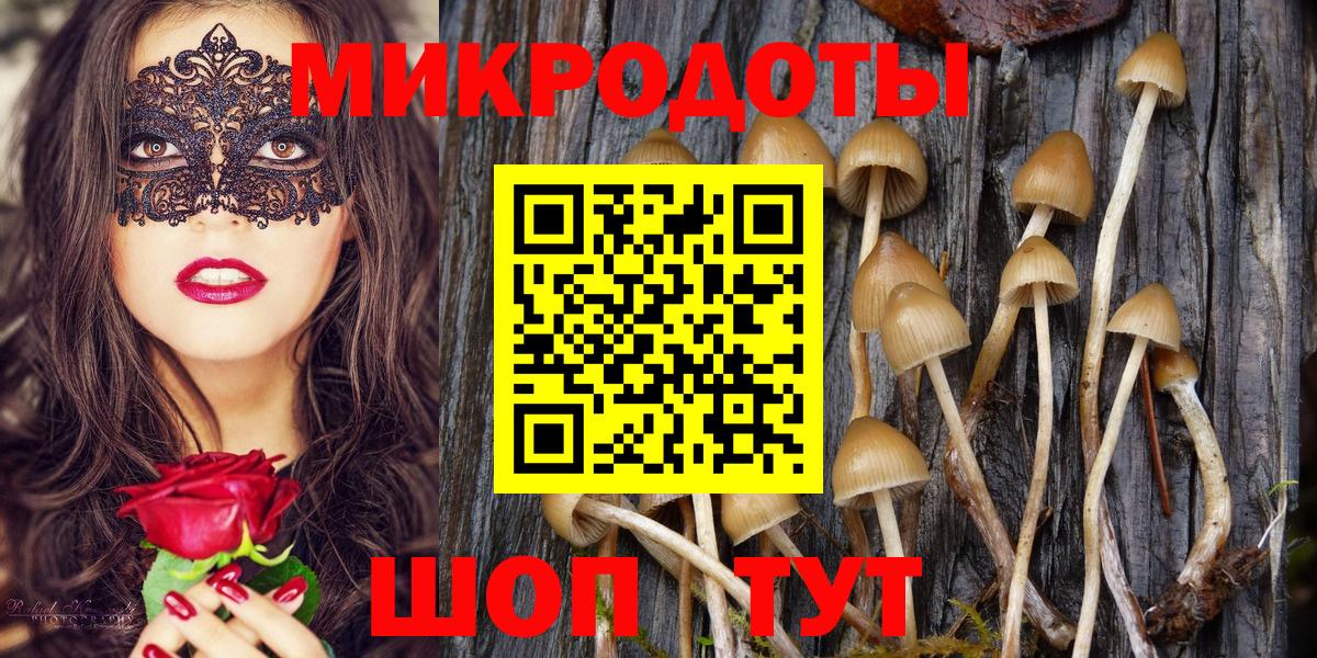 Псилоцибиновые грибы GOLDEN TEACHER Сочи